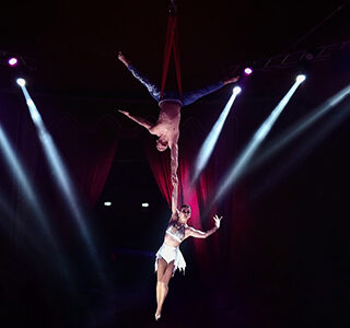 Alex & Siya - Aerial Show