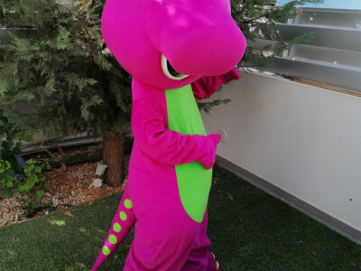 Mascot - Barney