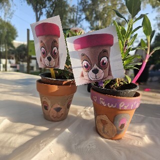 Flowerpot Decoration Workshop